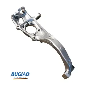 BSP25551 BUGIAD