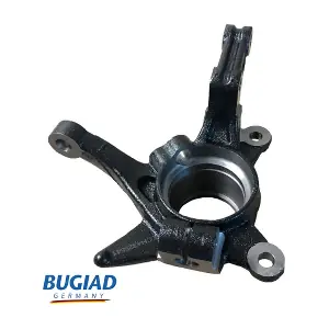 BSP25541 BUGIAD