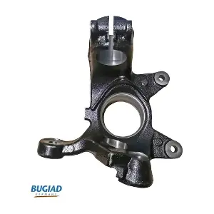 BSP25451 BUGIAD