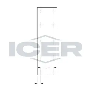 13119 ICER