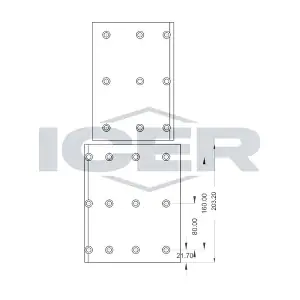 ICER 21956200