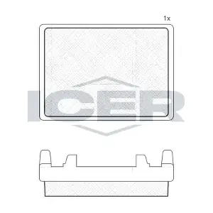 20493 ICER