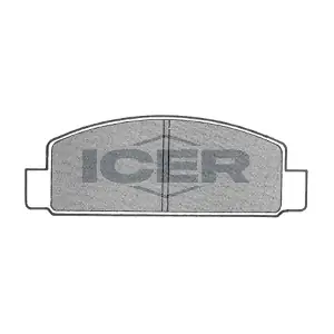 180630 ICER
