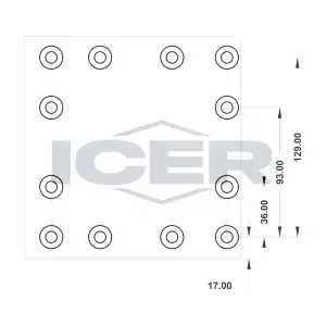 19177 ICER