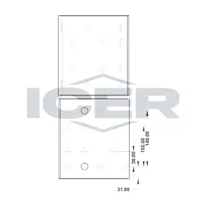 21909800 ICER