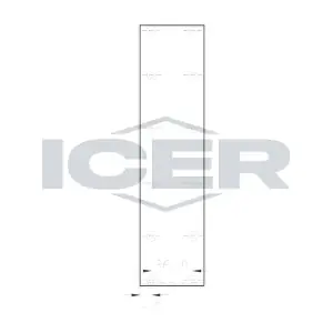 13066 ICER
