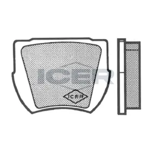 20109 ICER