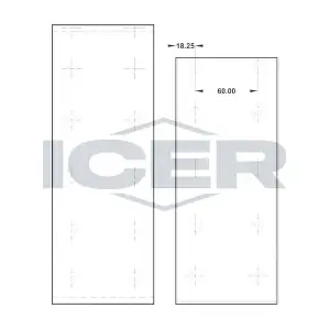 ICER 21 5817 00