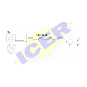 610069 E C ICER