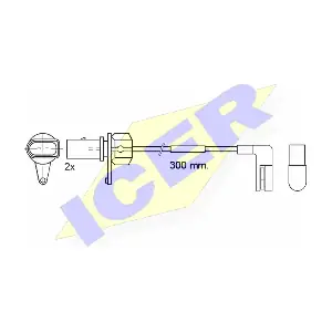 610507 E C ICER