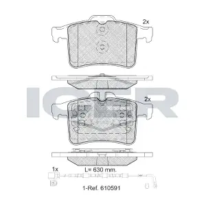 ICER 181981-202