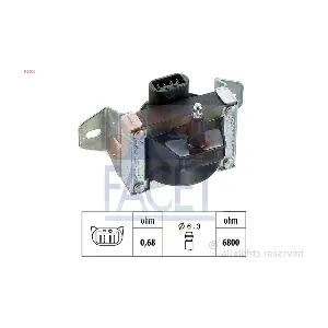 FACET 96006