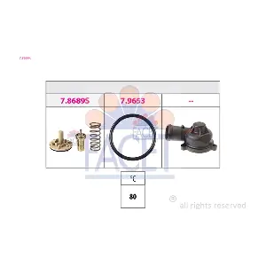 7.8689K FACET