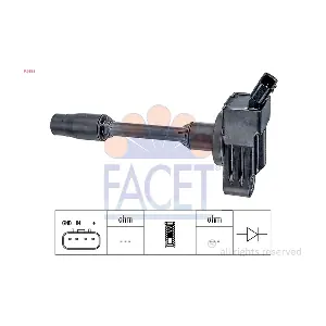 9.6553 FACET