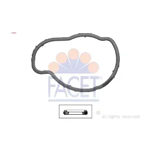 7.9573 FACET