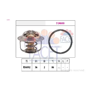 78949 FACET