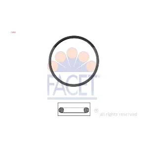 7.9527 FACET