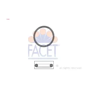 7.9629 FACET