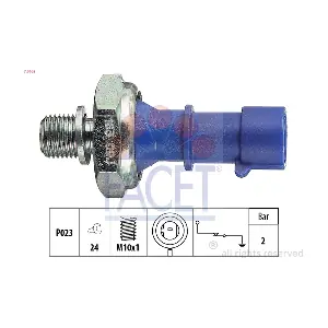 FACET 70163
