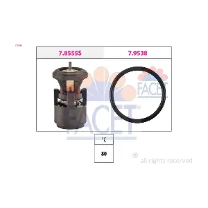 7.8555 FACET