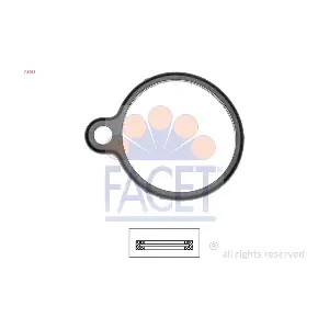 7.9651 FACET