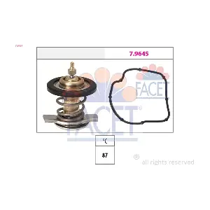 FACET 78784