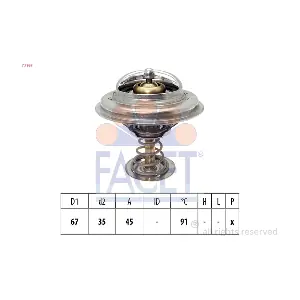 77989 FACET