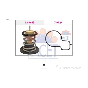 78965 FACET