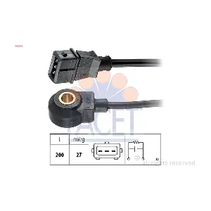FACET 93061