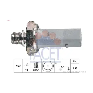 FACET 70134