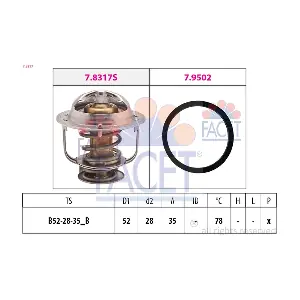 FACET 78317
