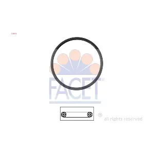 FACET 7.9642