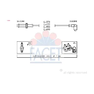 49025 FACET