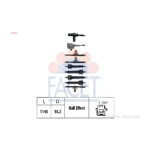 210064 FACET