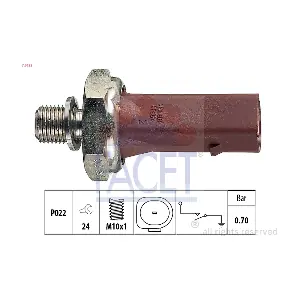 FACET 70132