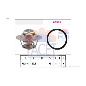 FACET 7.8576