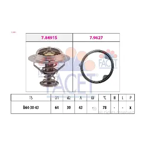 FACET 78491