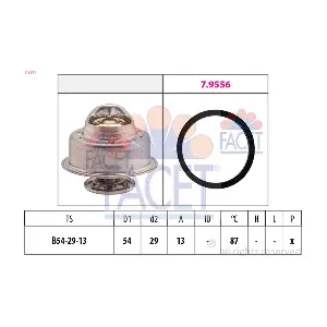 7.8211 FACET