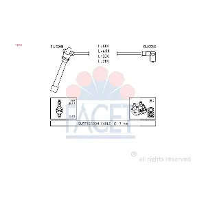 FACET 4.9505