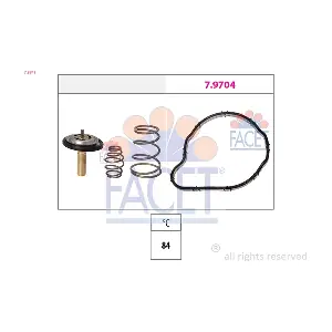 FACET 78841