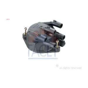 FACET 28102