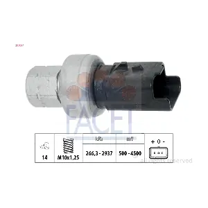 250024 FACET