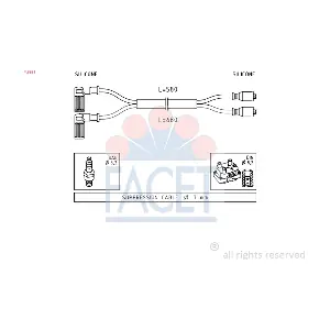 FACET 48351