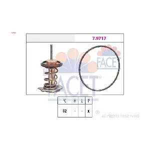 7.8937 FACET