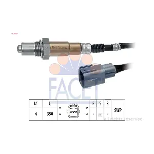FACET 10.8197