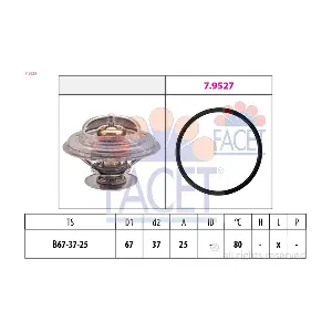 FACET 78623