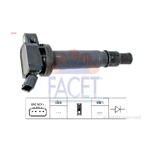 FACET 96358