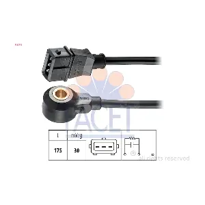 9.3072 FACET