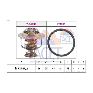 FACET 7.8403