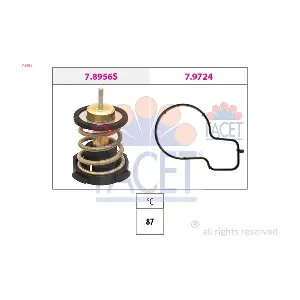 7.8956 FACET
